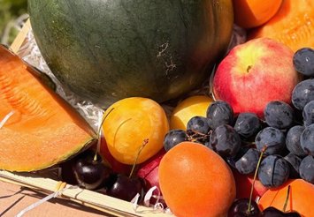 Cageot de fruits de saison